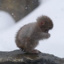 主体的に生きることの難しさ