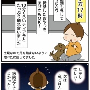 愛犬ティアラの手術記録⑥検査結果