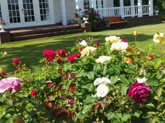 【宝塚市 イベント】今夜放送！唐沢寿明主演ドラマ「無垢なる証人」にも登場する『高碕記念館』は魅力がいっぱい