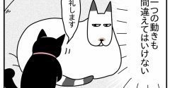 猫の名はポル㉚