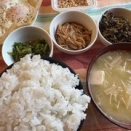 【40代の食選択】世間で言われる「3つの白」は本当に悪か？白米を食べて健康になる真実