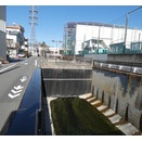 下北沢X物語（5334）― 都会の虚構に生きるカモ―