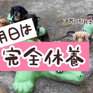 メルロコ一家の横須賀ストーリー