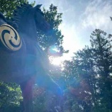 �ؽѸ壵���������������ܵ��Ǥ��ꤹ�갦�Ǥ���٤β���