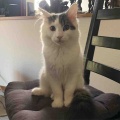 どんどんドアップ
