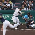 キター！佐藤輝明17号で覚醒！？森下との差を詰める猛打が止まらんwww