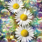 戒's gallery (GalleryGai)