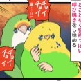 🦜今帰って来たの……飼い主かな…………？