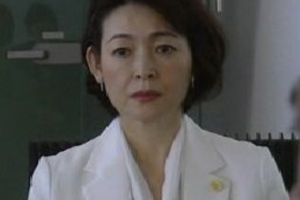 パーフェクト弁護士 南蛇井律子 財前直見 2017年 オールキャスト2時間ドラマ