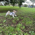 愛犬と一緒に舎人公園でピクニック。*\(^o^)/*