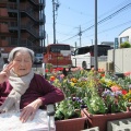 春がやってきました🌸