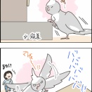 行動派のクスィー