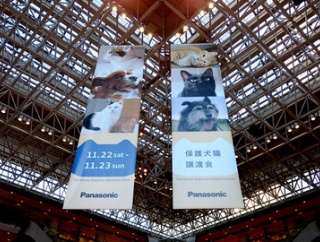 パナソニック保護犬猫譲渡会in大阪に行って来ました！