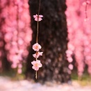 合格する人、不合格となる人の差とは・・・？