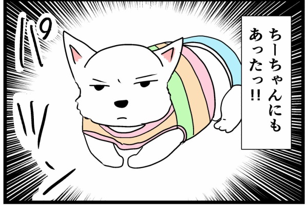 1990年のウエスティランド 旅行日記 横顔ですけどもっ🐕 —————————————————— 14歳のウェストハイランド