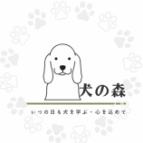 『マイナーチェンジいろいろ』の画像
