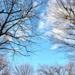 私の好きな時間空間仲間たち…一日一楽