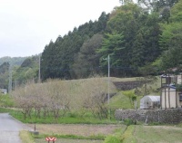 『吾妻線祖母島の不思議な構造物』の画像