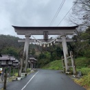 水神様とジャックと桜