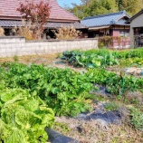 『本厄の2025年が終わる』の画像