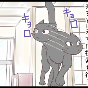 新天地に到着したネコ達はこういう行動を取るのです。のまき