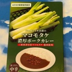 　城とカレー