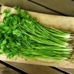 四つ葉のくまさんの癒しのお花、時々お料理日記