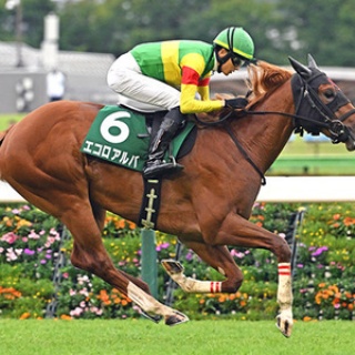 ☆うまなみ・競馬にゅーす速報
