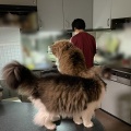 テンション爆上がりのふたり