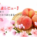 【正直レビュー】モモリ　しっとりまとまるヘアクリーム