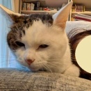 仲良しなんですよ？
