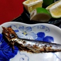 トマトと獅子唐辛子の味噌汁／バカは死んでもバカ