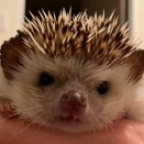 靴下を　おっとっとっと　寝起き履く