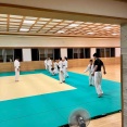 柔道(6.15)