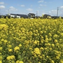 2026.4月のスケジュール♪