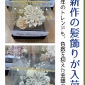 ハレきものをお洒落に彩る、 新作髪飾り入荷👑