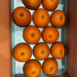 『梨あきづき』の画像