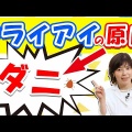 意外と知らない！まつげダニが引き起こす目のトラブルと対処法