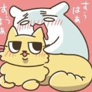 犬猫様のご紹介② 次男ティー