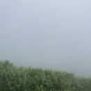 やまがた百名山キャンペーンの旅その１無念の蔵王編