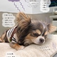 まりちゃん、その後。閉塞か！？腫瘍か！？と思ったら…まさかの自律神経？