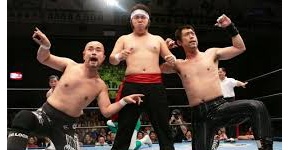 プロレスの再興と衰退の原因ｗｗｗｗｗｗｗｗｗｗ
