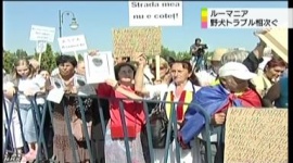 ルーマニア「野犬が多すぎて危ないから、殺処分始めるわ」 → 動物愛護団体「非人道的だ！」