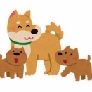 独身一人暮らしやけど犬飼いたい