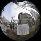 『目黒川の桜②　蛇崩川　2020/03/25』の画像