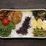 『2025/3/28のパートナーの相棒のお弁当【#お弁当】【2122個目】』の画像