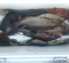 　　　　　　　　２０２５年12月20日