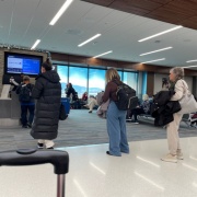 ���ܤˤ�����2�˴����������ʤ�����