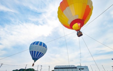 ��Ǯ����ʳض���in�������٤β���