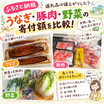 【ふるさと納税】返礼品は値上がりした？うなぎ・豚肉・野菜の寄付額を比較！